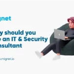 Hire An IT & Security Consultant