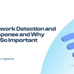 Network Detection and Response and Why is it So Important
