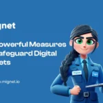 Measures to Safeguard Digital Assets