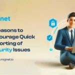 Quick Reporting of Security Issues