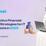 Financial Plan Strategies for IT Projects-01